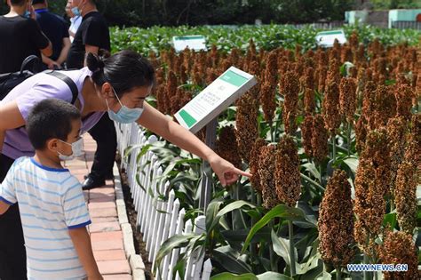 长春西语辅导学费
