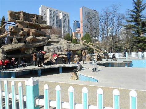 大连高新园区口才培训学校