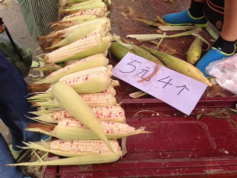 大连成人礼仪培训机构哪里有