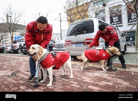 大连口才哪里培训机构
