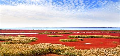 盘锦在职研究生培训机构