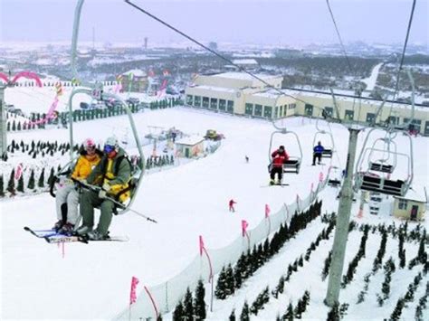 大连十大知名考研辅导班