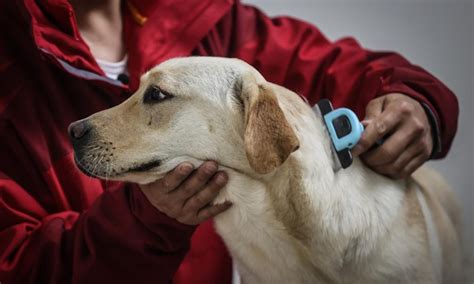 大连基金从业资格证培训班多少钱