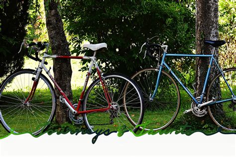 沈阳2021年夏令营活动