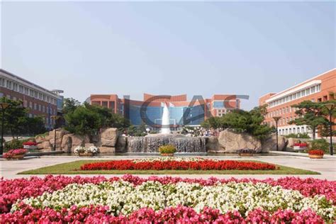 长春学习java哪个好