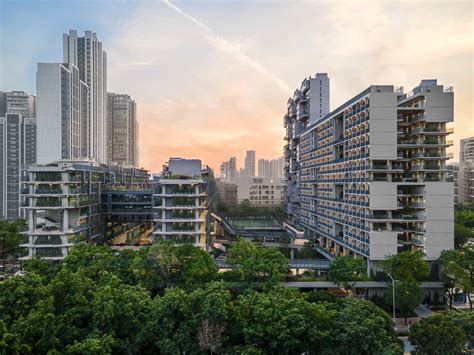 深圳心理学教育培训机构