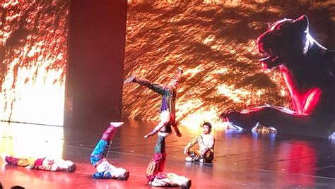 云顶国际部课程体系