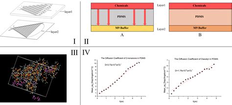 深圳模特平面表演班