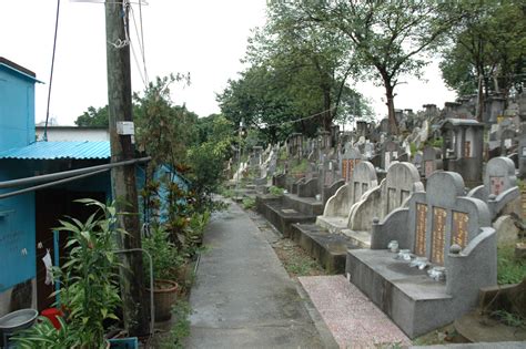 罗湖棒球面授班
