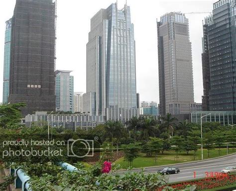 深圳青之藤国际