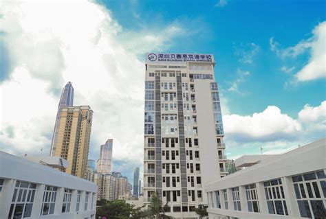 深圳国际高中有哪些