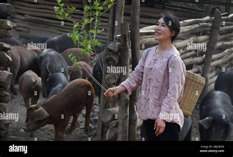 宝安区哪里有好的意大利语培训班