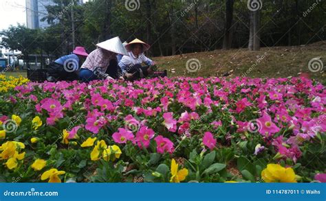 深圳园林花境景观作品集