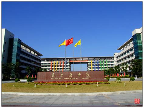 广东珠宝设计留学培训哪个好