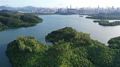 罗湖区摄影摄像培训