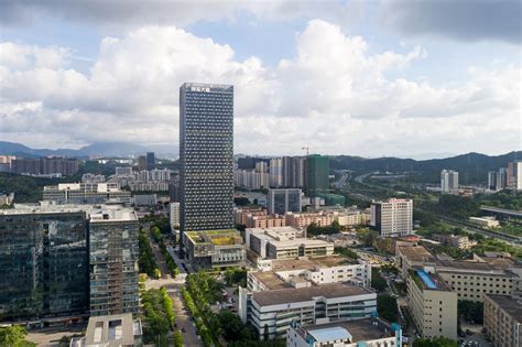 龙岗区2018高考复读文科