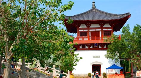 南山区2018高考复读