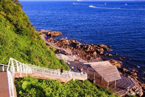 盐田区20高考复读班