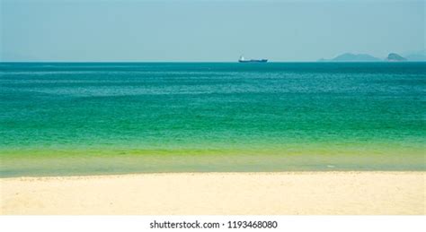 盐田区20高考复读