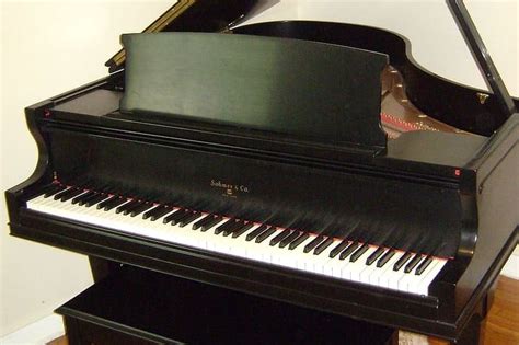 南山区成人学习乐器多少钱