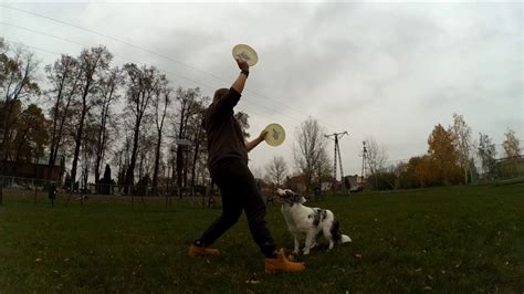 麒麟花园飞盘培训