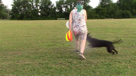 大冲城市花园飞盘培训