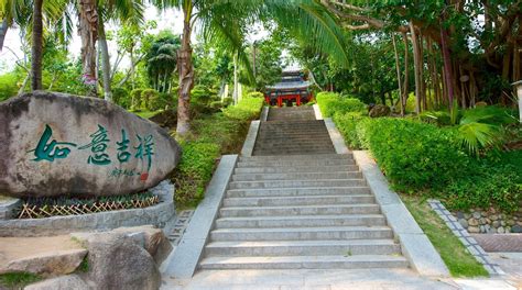 南山区管理口才学习机构