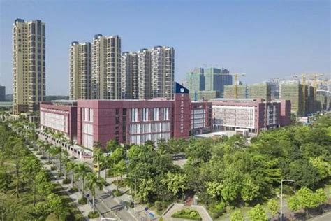 深圳高级育婴师培训