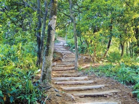 龙岗少儿街舞哪家好