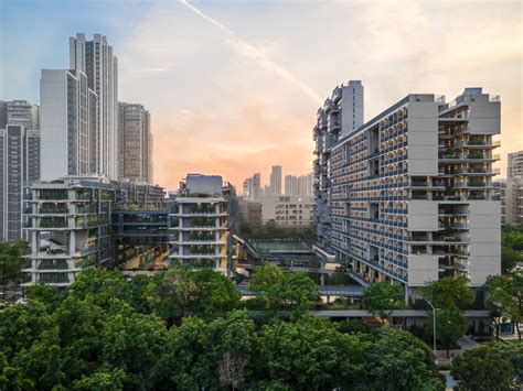 深圳维途国际教育课程介绍