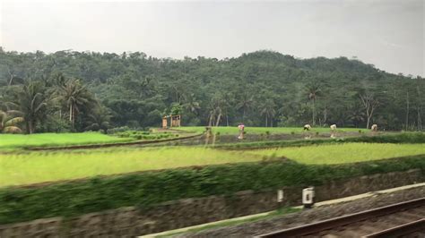 应该如何培训java