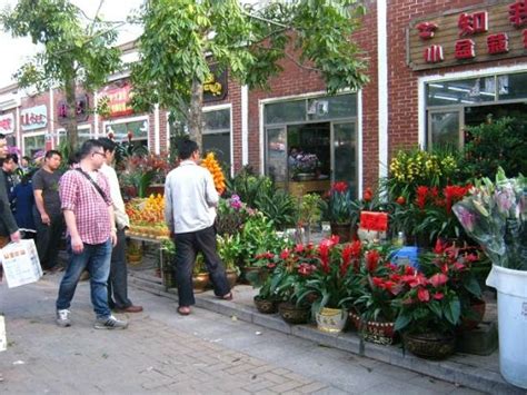 深圳插花培训