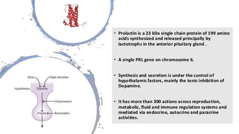 深圳特级催乳师班