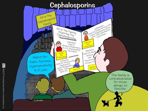 记忆法训练营哪里有