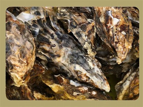 大连中山区工程师考证培训机构