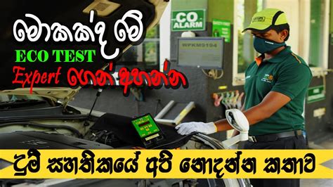 大连碳排放管理师考证培训班哪家好