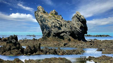 金州区二建培训