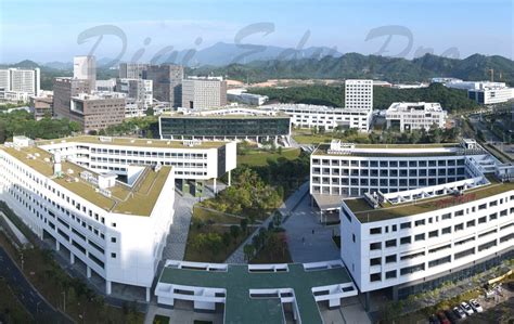 深圳大学新加坡国际本科留学怎么样