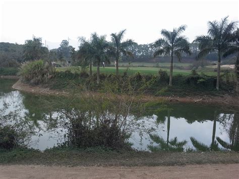 深圳龙岗粤语培训班