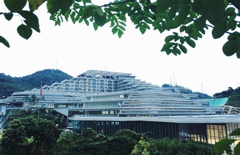 深圳国家三级心理师培训