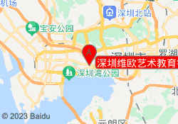 深圳维欧艺术教育锦绣校区