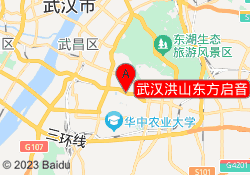 武汉洪山东方启音