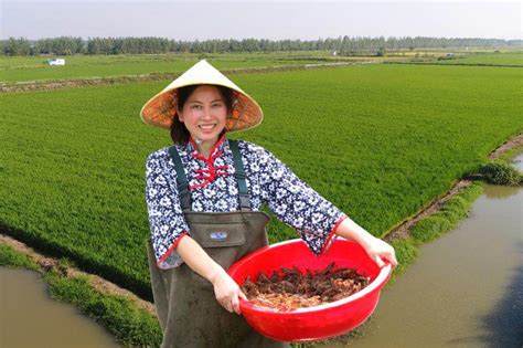 合肥小龙虾培训多少钱