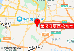 武汉江夏区软帝培训班