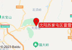 沈阳苏家屯区雷霆特训军事训练基地