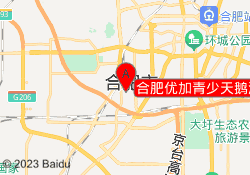 合肥优加青少天鹅湖校区