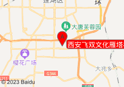 西安飞双文化雁塔校区