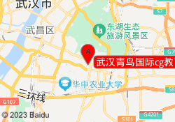 武汉青鸟国际cg教育电教室校区