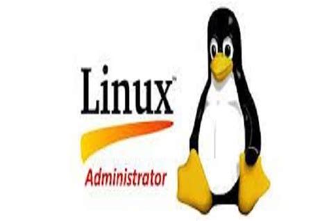 深圳linux管理员培训排名