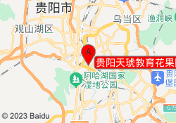 贵阳天琥教育花果园校区